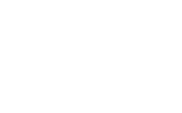 W:O:A 2027