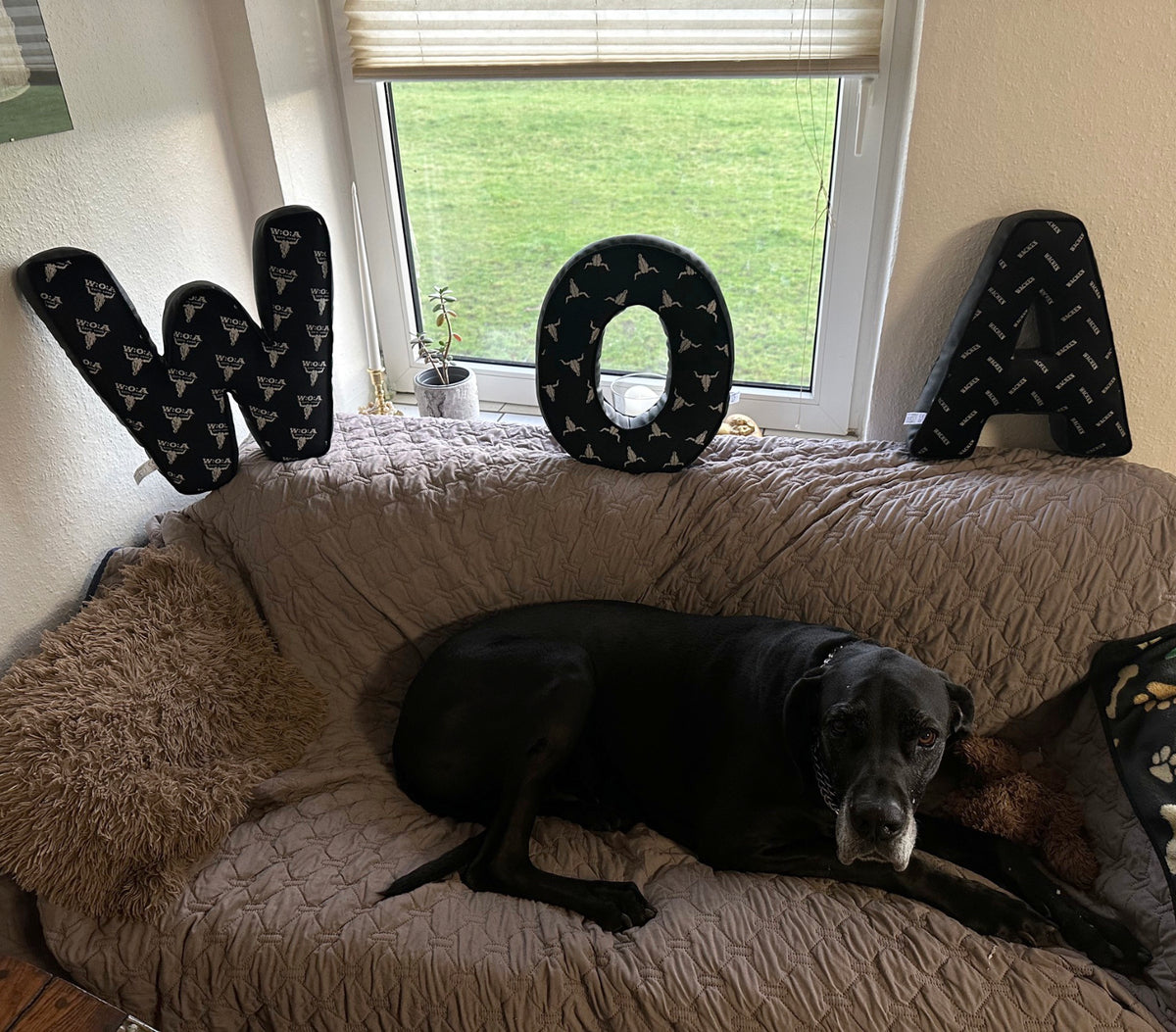 W:O:A - Buchstabenkissen - 3er Set